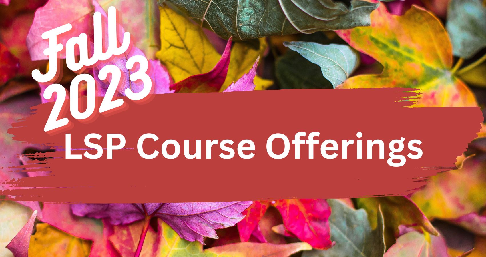 LSP Course Offerings